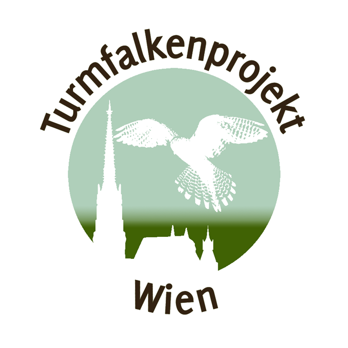 Projekt-Logo